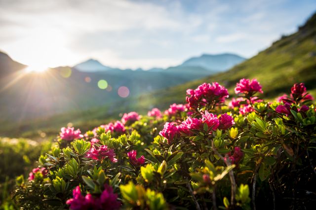 Immagine: Vacanze estive con la famiglia nelle Dolomiti